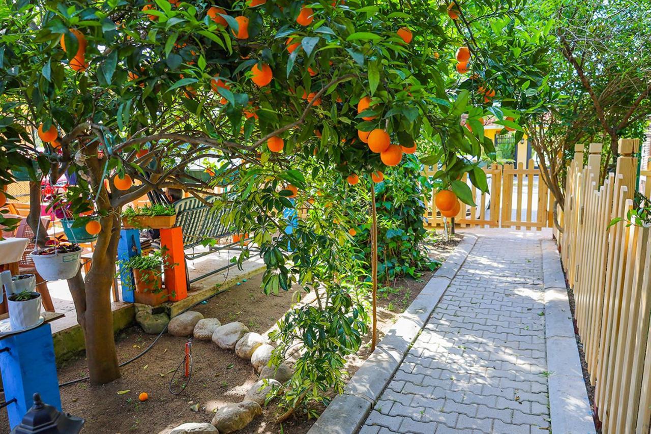 Three Islands Bungalow Çıralı Exteriér fotografie
